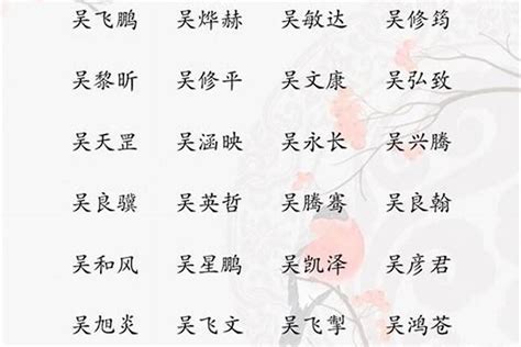 吳 取名|吳姓寓意好的男孩名字（精選200個）